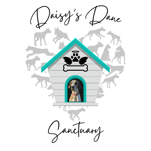 Daisy's Dane Sanctuary