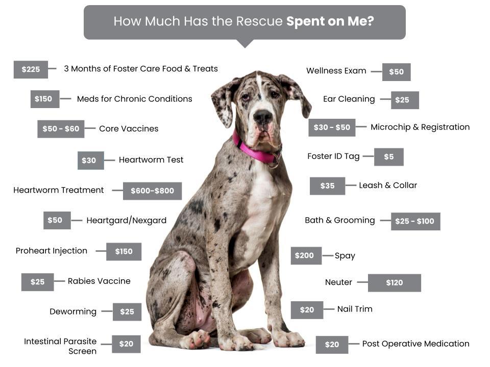 Daisy's Dane Sanctuary Fee Graphic