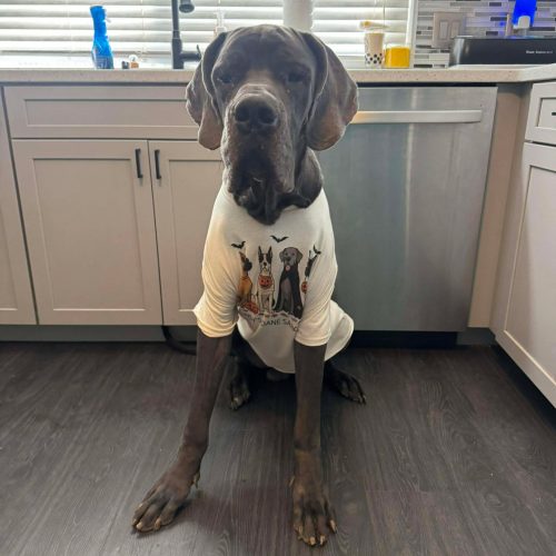 624046693_1280053540609263_5836735222250854048_n