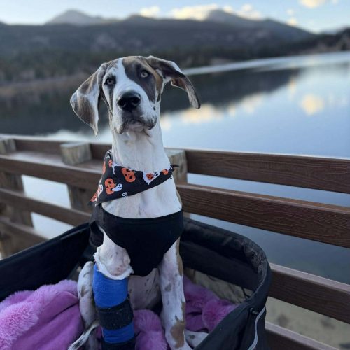 625142606_1491457322550594_6690903459131038227_n