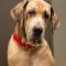 Winston 051126-344