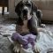 Sadie Jo 051126-328
