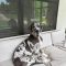 Sadie Jo 051126-328