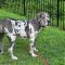 Sadie Jo 051126-328