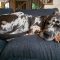 Sadie Jo 051126-328