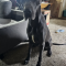 Addie 072226