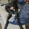 Hank 072226