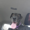 Addie 072226