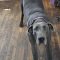 Addie 072226