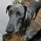 Addie 072226