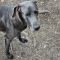 Addie 072226