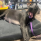 Addie 072226