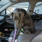 Addie 072226
