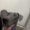 Addie 072226