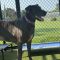 Addie 072226