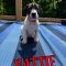 Hattie 061226