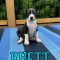 Rhett 061226