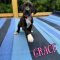 Grace 061226